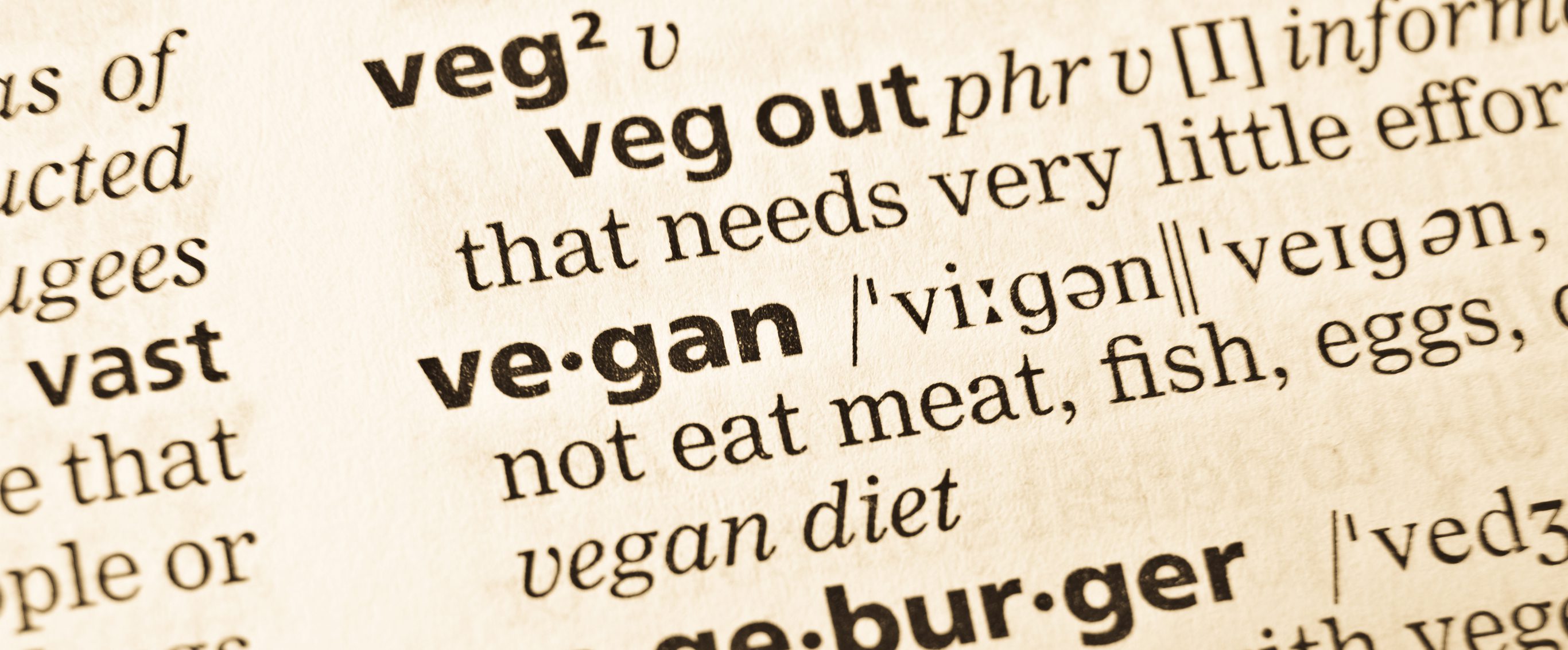 Vegan lifestyle