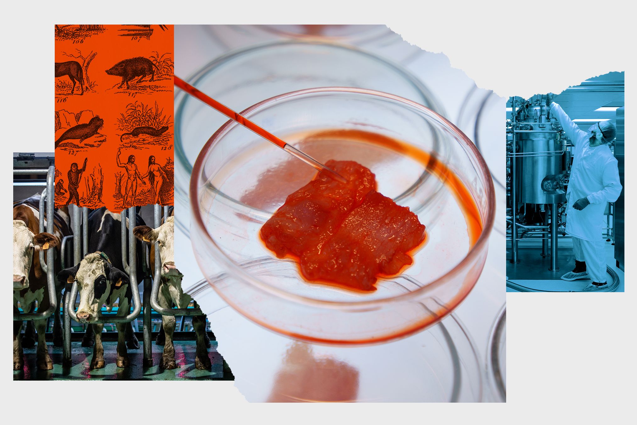 Lab-Grown Meat vs. Traditional Vegan Alternatives: The 2026 Plant-Based Showdown