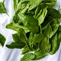 fresh spinach leaves