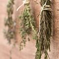 dried rosemary