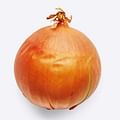 large onion