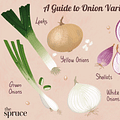 onion