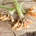 turmeric