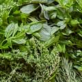 Fresh herbs