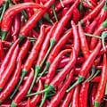 Pepper