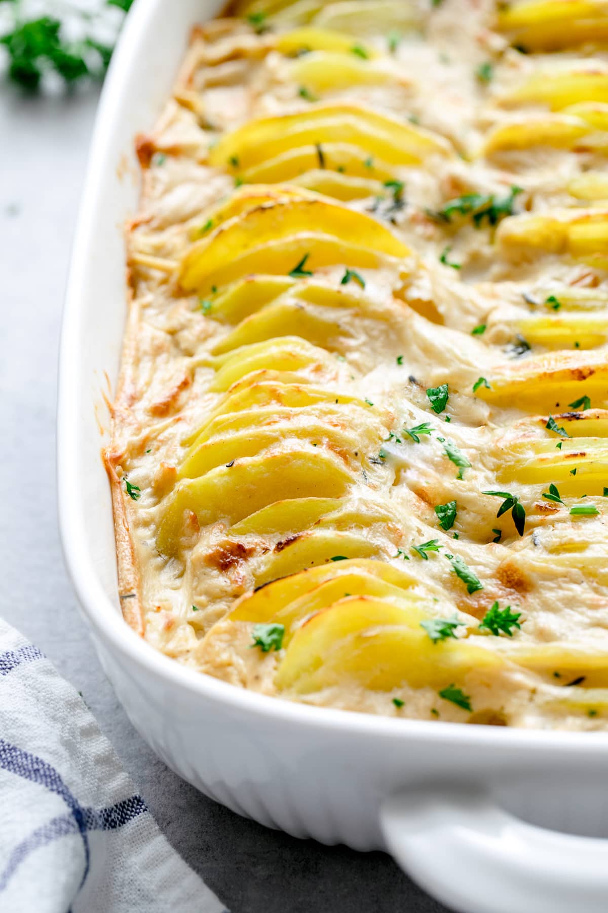 Vegan scalloped potatoes