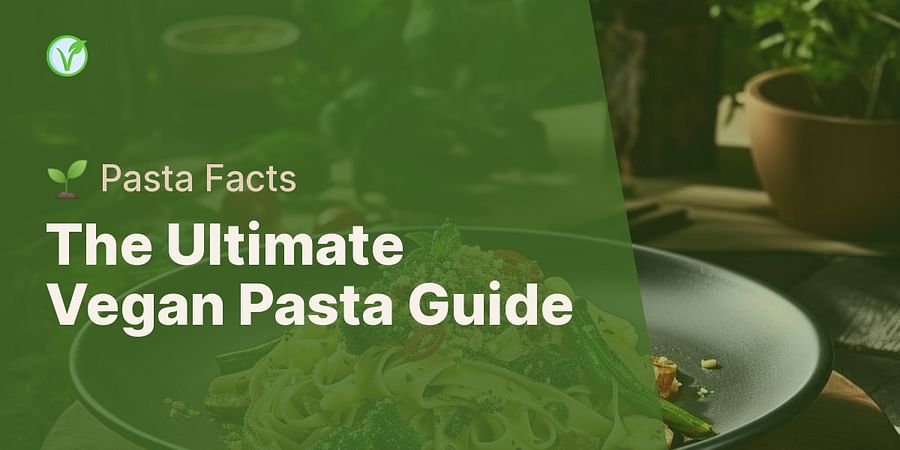 Pasta For Vegans What You Need To Know 