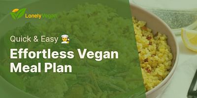 Effortless Vegan Meal Plan - Quick & Easy 👨‍🍳