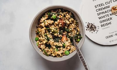 Are there any budget-friendly vegan recipes available?