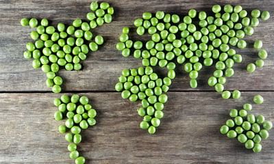 Can the world survive on a plant-based diet?