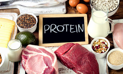 What are the changes in the body of a vegetarian diet guide?