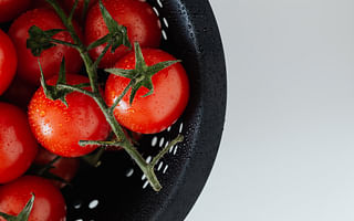 🌱 Vegan Nutrition 101 Quiz: Test Your Knowledge of a Healthy Vegan Diet 🌱